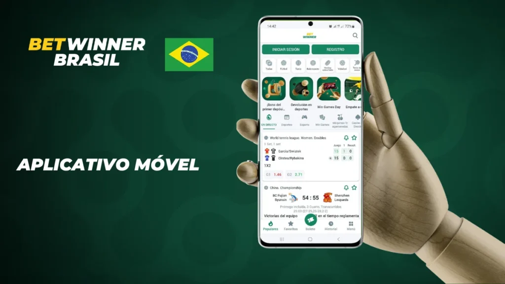 Jogo do palmeiras ao vivo